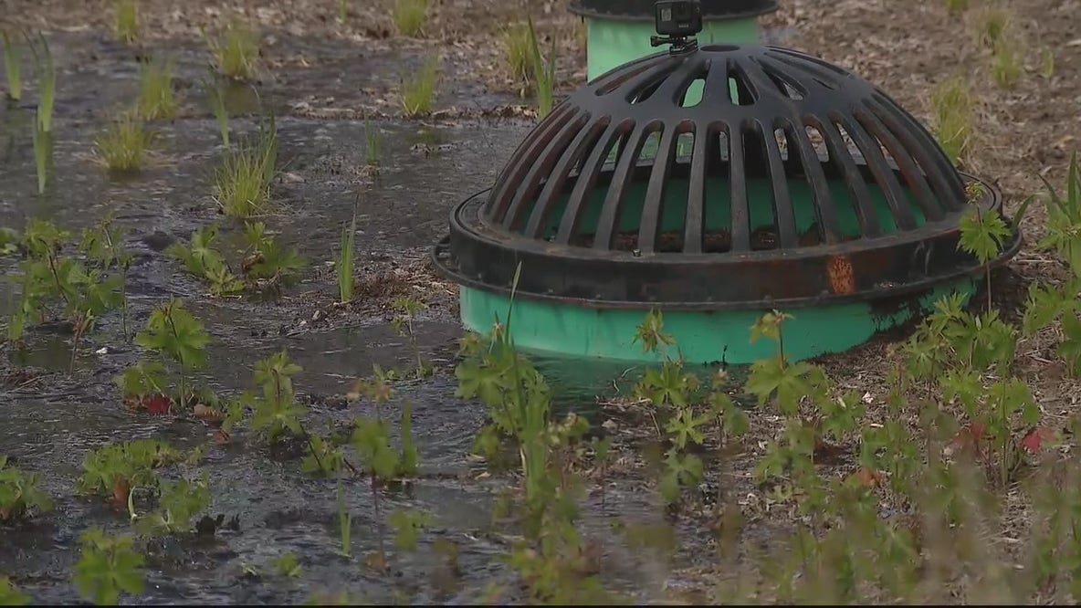 New storm water runoff diverts rain in Detroit's Aviation neighborhood
